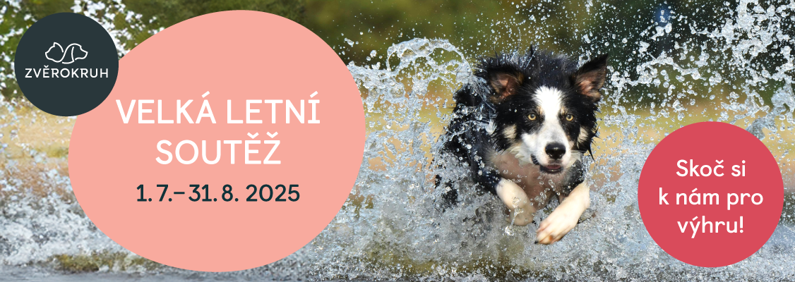 velka_letni_soutez