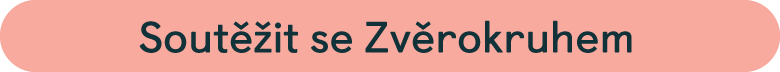 velka_letni_soutez