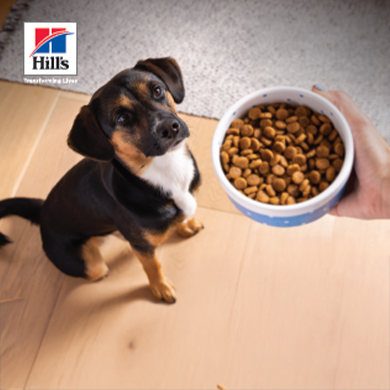 hills_ikona_vyzivarka