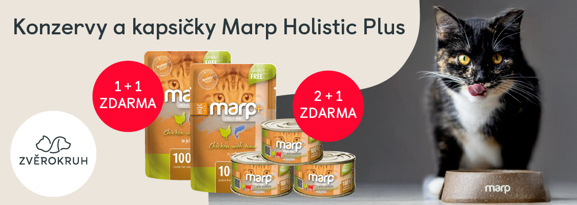 akční nabídka