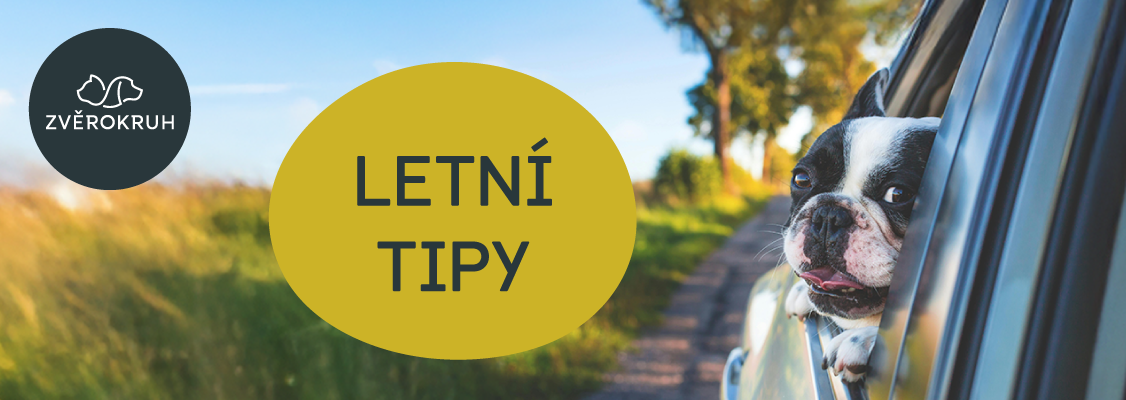 letní tipy