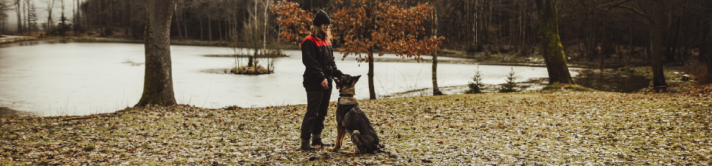drogonuv_denik_prosinec_leden_clanek_banner
