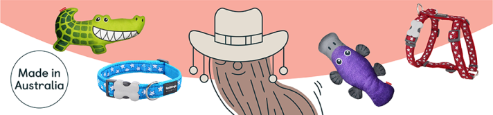red_dingo_clanek_banner
