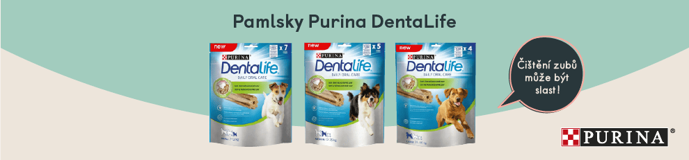 banner-clanek-dentallife
