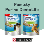 ikona-clanek-dentallife