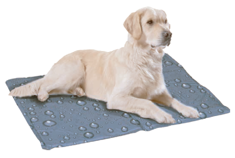 letni_tipy_II_kdyz_uderi_vedra_clanek_001_new