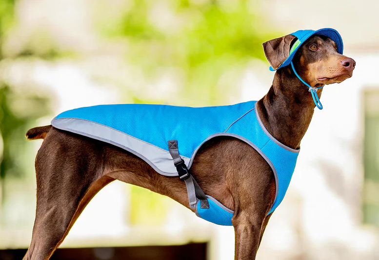 letni_tipy_II_kdyz_uderi_vedra_clanek_002_new