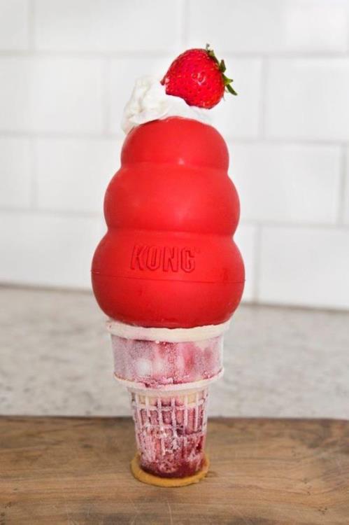 letni_tipy_II_kdyz_uderi_vedra_clanek_004