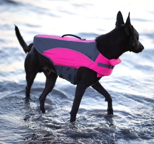 letni_tipy_II_kdyz_uderi_vedra_clanek_004_new