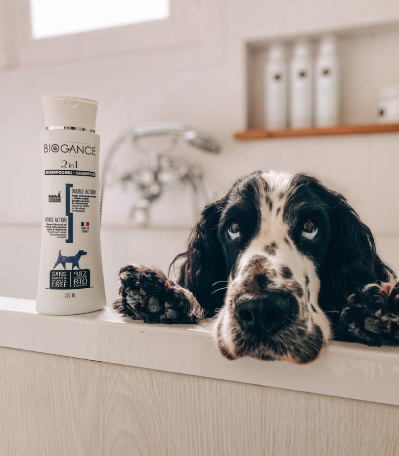 slasti_a_strasti_pece_o_srst_jak_na_koupani_psu_a_kocek_002