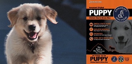Annamaet Puppy