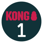 01-kong-ikona-clanek
