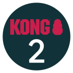 02-kong-ikona-clanek