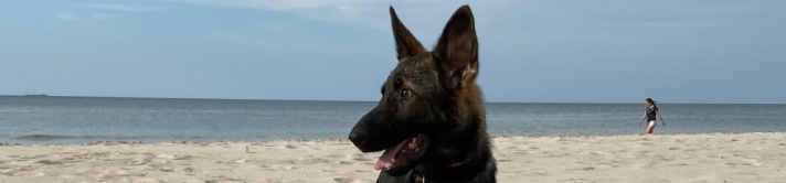 drogonuv_denik_cervenec_clanek_banner