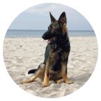 drogonuv_denik_cervenec_clanek_ikona