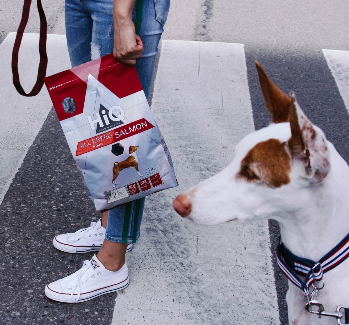 krmiva_hiq_pro_psy_a_kocky_vyziva_podlozena_vedou_clanek_001