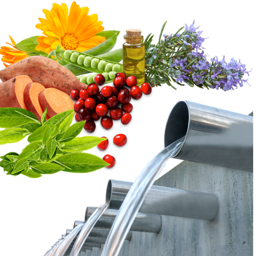 krmiva_hiq_pro_psy_a_kocky_vyziva_podlozena_vedou_clanek_004