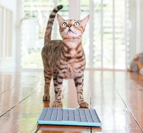 krmte_pomalu_zabavne_a_zdrave_s_lizacimi_podlozkami_clanek_004