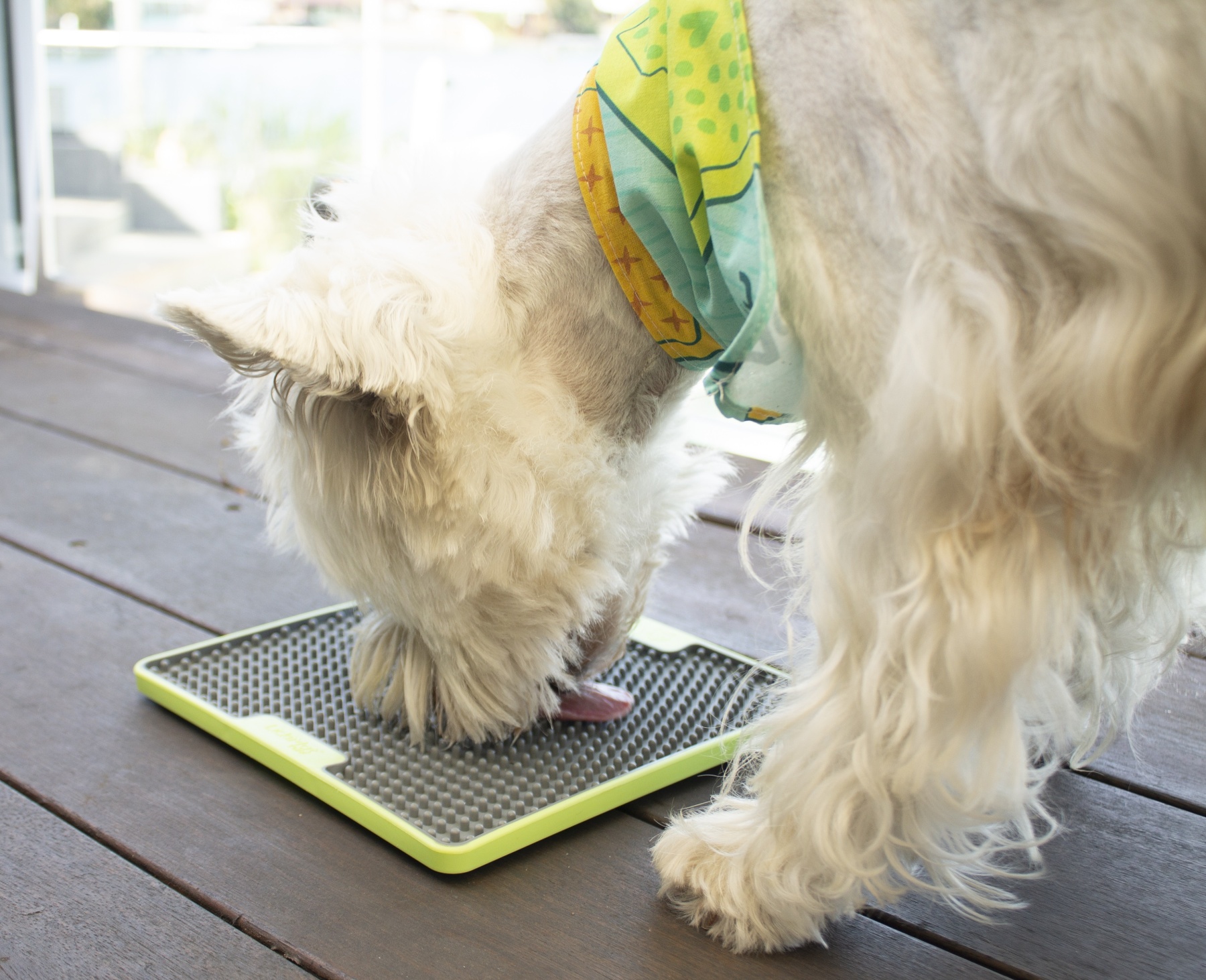 krmte_pomalu_zabavne_a_zdrave_s_lizacimi_podlozkami_clanek_005