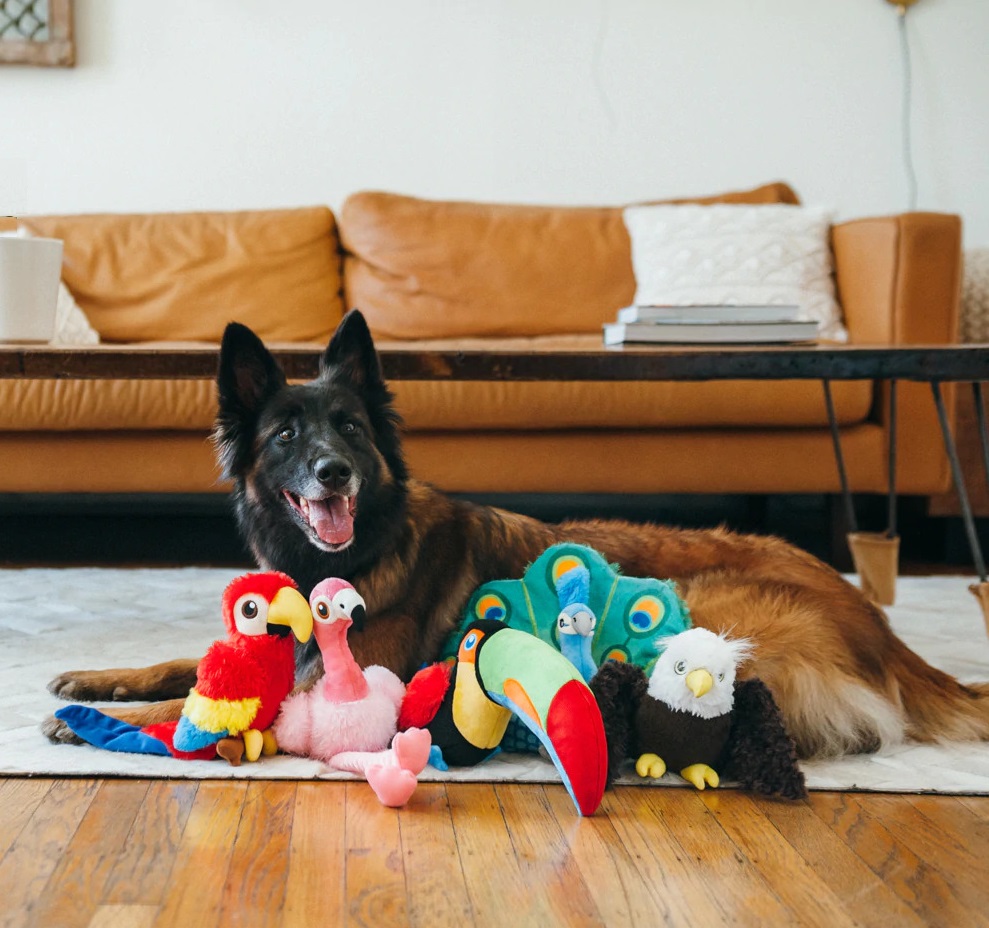 plysaci_p_l_a_y_dobyvaji_svet_clanek_003