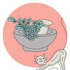 santa_kozlik_matatabi_byliny_na_ktere_kocky_leti_clanek_ikona