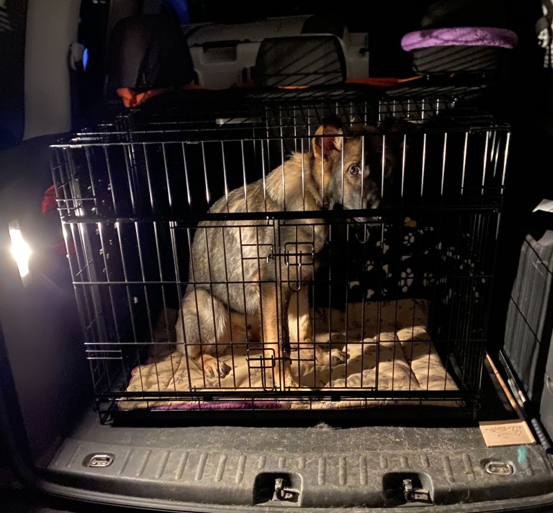 drogonuv_denik_unor_brezen_duben_clanek_002