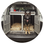 drogonuv_denik_unor_brezen_duben_clanek_ikona