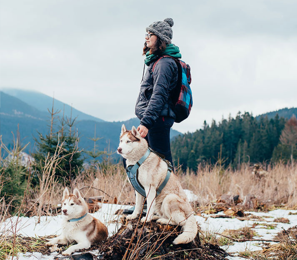 jak_vybrat_spravny_postroj_pro_psa_clanek_001