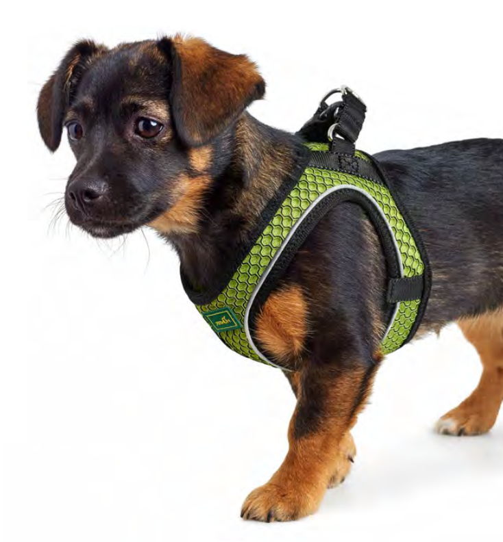 jak_vybrat_spravny_postroj_pro_psa_clanek_005