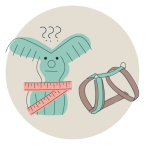 jak_vybrat_spravny_postroj_pro_psa_clanek_ikona