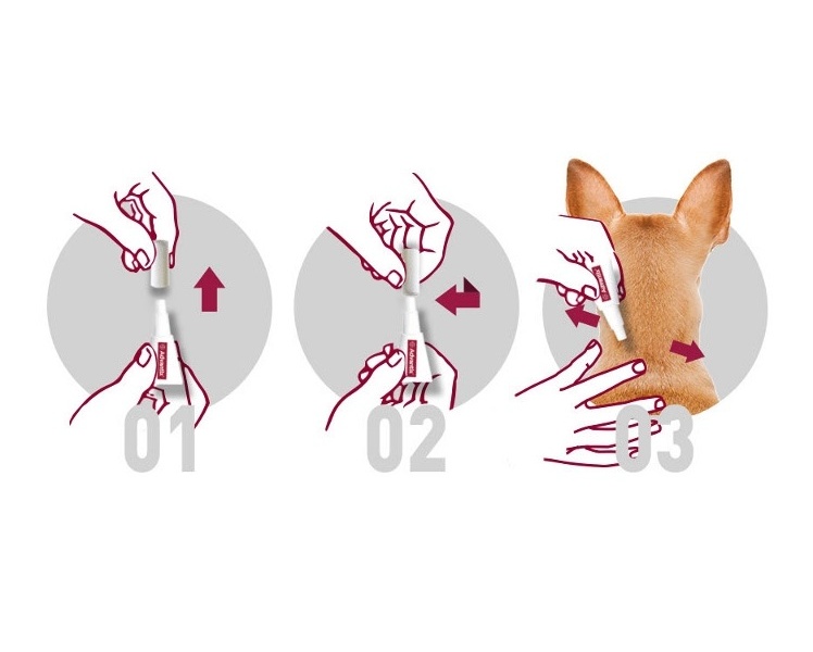 advantix_uzijte_si_leto_bez_obav_z_parazitu_clanek_001