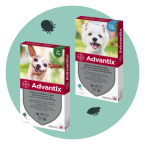 advantix_uzijte_si_leto_bez_obav_z_parazitu_clanek_ikona