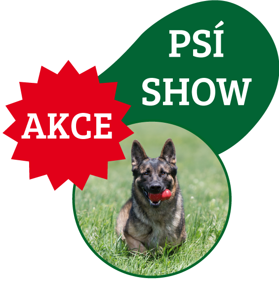 Užijte si bohatý program naší psí show