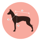 jak-zmerit-psa-clanek-ikona