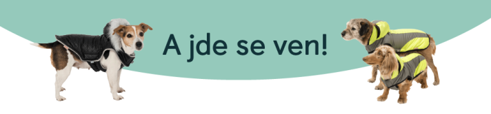 oblecte-sveho-psa-do-zimy-clanek-banner
