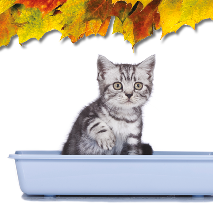 Cats Best lopatka zdarma