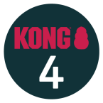 04-kong-ikona-clanek