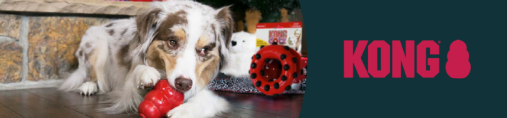 05-kong-banner-clanek