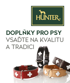 hunter pro psy