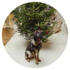 drogonuv_denik_listopad_clanek_ikona