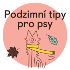 ikona-podzimni-tipy