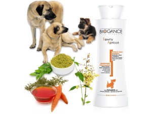 podzimni-tipy-08-biogance-tawny-apricot