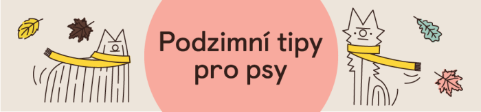 podzimni-tipy-banner-clanek