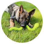 drogonuv_denik_srpen_clanek_ikona