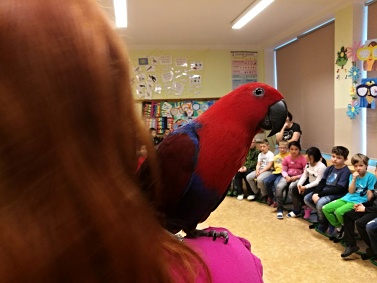 ikona beseda domácí mazlíčci