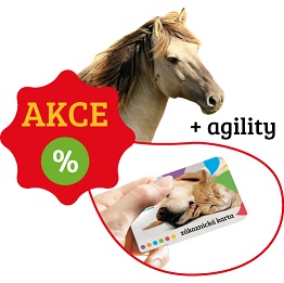 ikona akce olomouc a jízda na koni