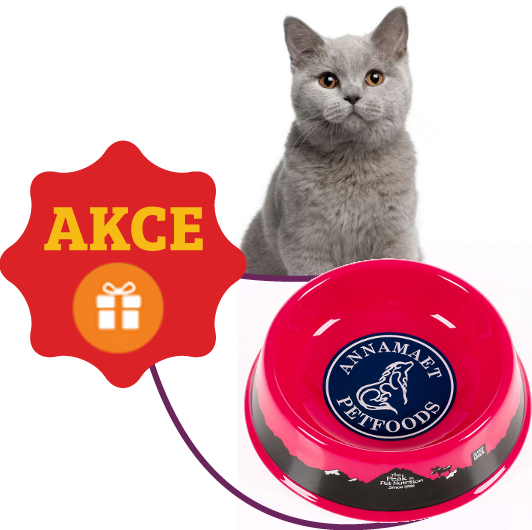 annamaet kočka ikona