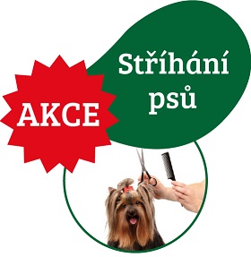 stříhání psů
