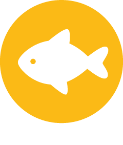 posledni_vylov_rybicek_ikona