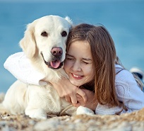 pes bude vděčný i za pouhé mazlení nebo pochvalu